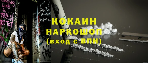 эйфоретик Арсеньев