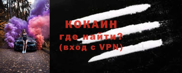 эйфоретик Арсеньев