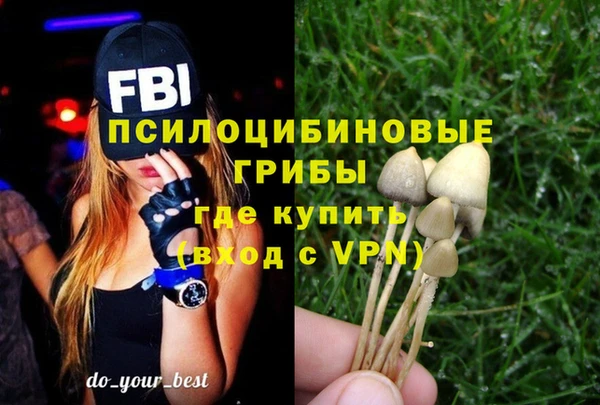 крисы Алексеевка
